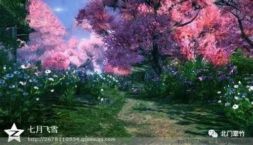 蒸汽时代的公主