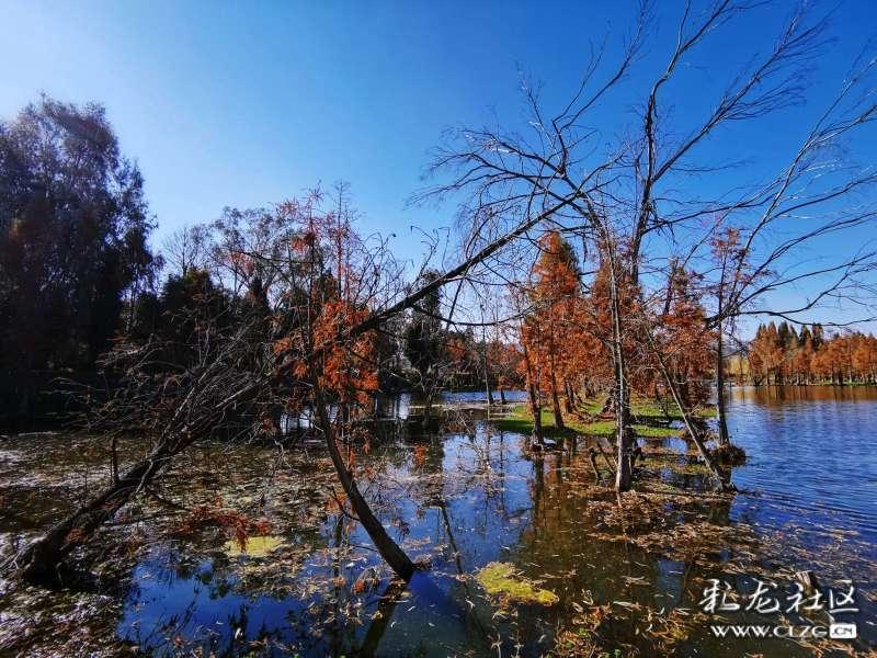 河北涿州市实行全域静默管理，居民的生活必需品是否能得到保障？游戏画面