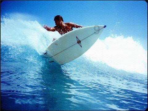 海绵宝宝寻珍宝