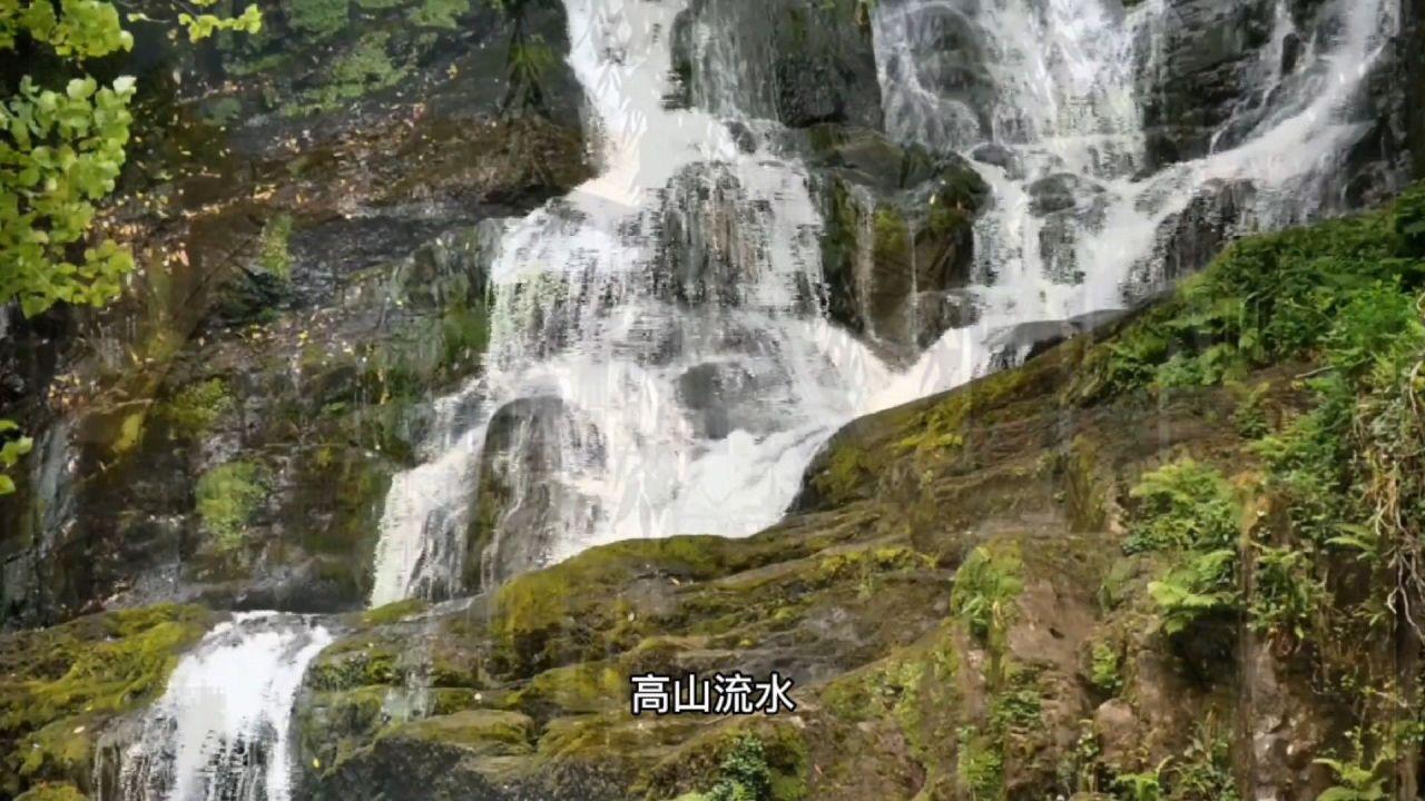 死亡细胞