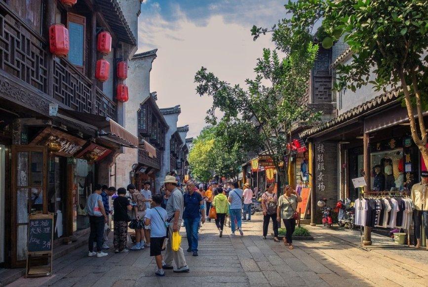 可爱小猫向上跳